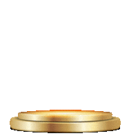 Security Icon