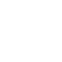 Blockchain Core Icon