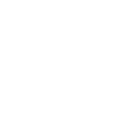 Investment Opportunity Icon